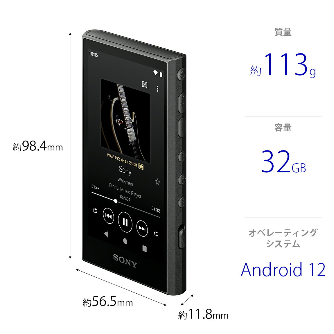 SONY Walkman NW-A306(B)