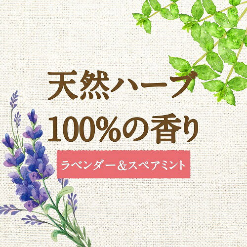 アラウ.洗たく用せっけん 詰替用 2L