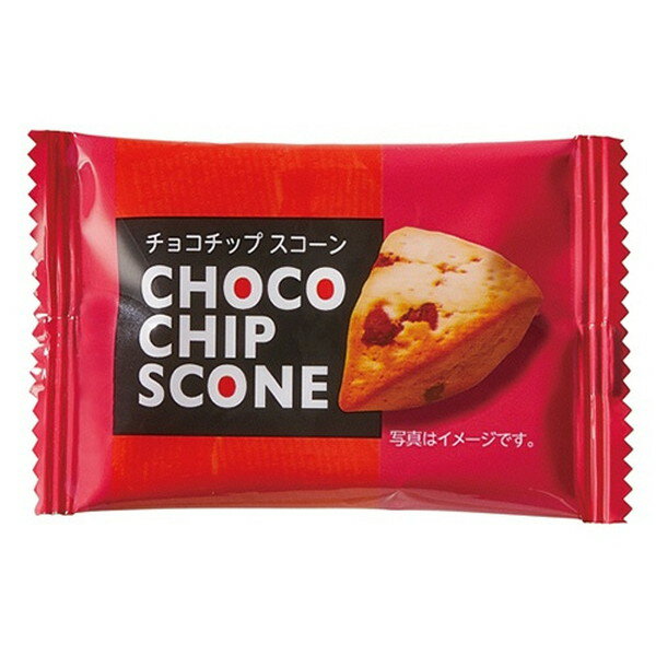 マイナット チョコチップスコーン 箱 20個