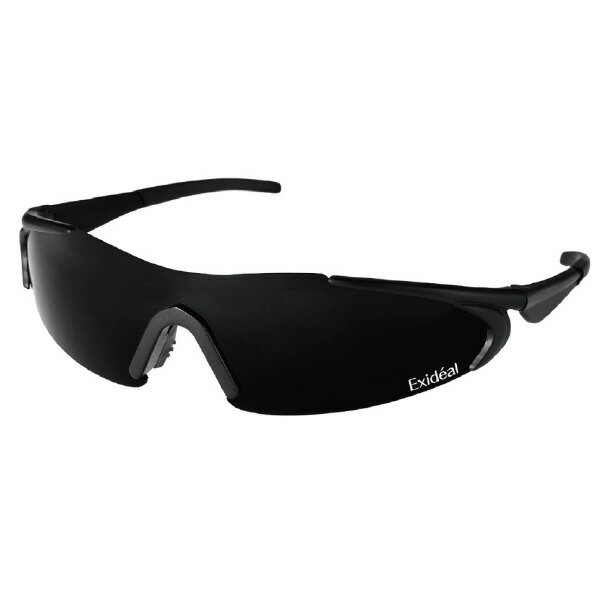 ハスラック ドゥ専用ゴーグル エクスイディアル EX-HA02-G01