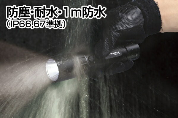 GENTOS TX-3000R 充電式高出力小型LEDハンディライト T－REX 3000R