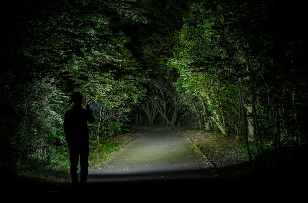 GENTOS TX-3000R 充電式高出力小型LEDハンディライト T－REX 3000R