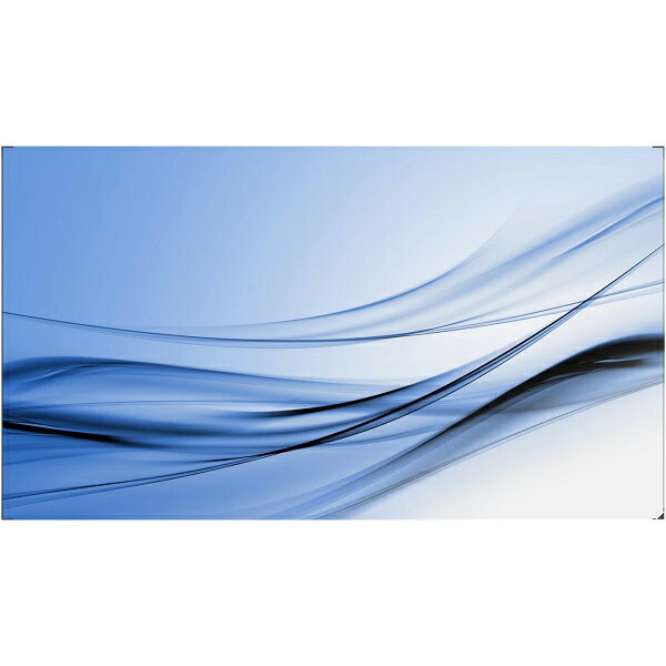 PHILIPS ディスプレイ 液晶ディスプレイ サイネージ 55型/1920×1080/DVI、HDMI、D-sub、DisplayPort/ブラック/スピーカー:あり/ビデオウォール専用 55BDL8007X/11