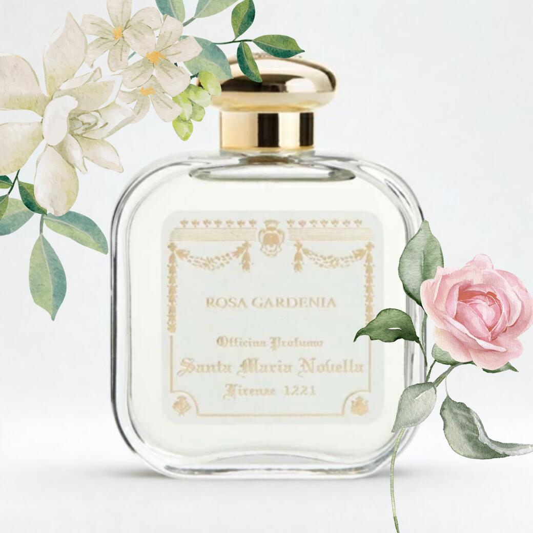 楽天市場】サンタ・マリア・ノヴェッラ 香水 レディース ローザ
