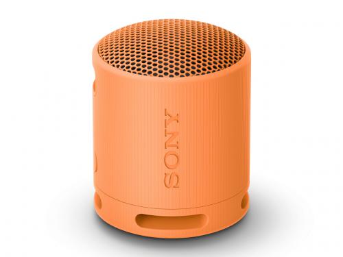 楽天市場】ソニーグループ SONY Googleアシスタント対応ワイヤレス