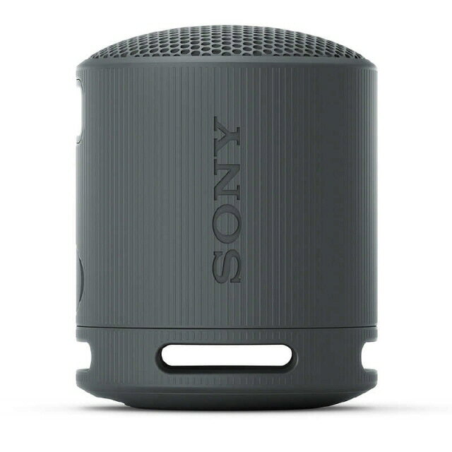 楽天市場】ION AUDIO BLOCK ROCKER PLUS | 価格比較 - 商品価格ナビ