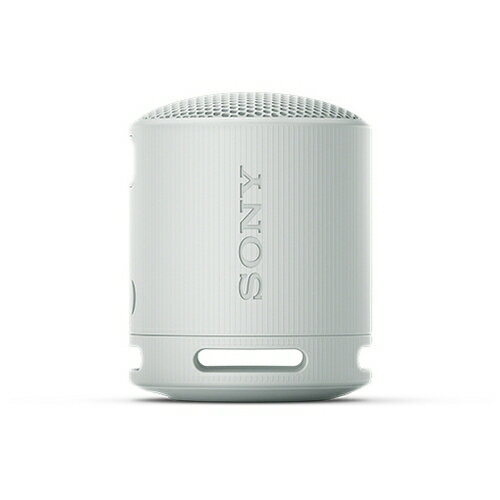 SONY ワイヤレススピーカー SRS-XB100/HC