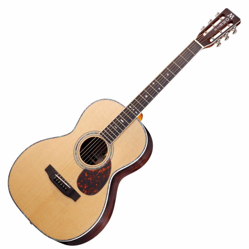 楽天市場】モリダイラ楽器 Morris モーリス F-101SP | 価格比較 - 商品