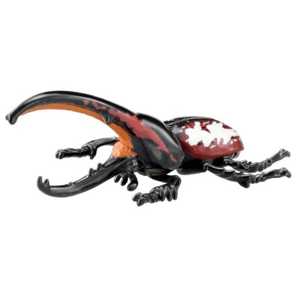 楽天市場】タカラトミー タカラトミーオレカバトル オレカンペキ 楽天市場】タカラトミー タカラトミーオレカバトル オレカンペキ