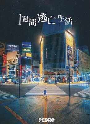 1週間逃亡生活 DVD