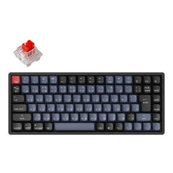 楽天市場】Varmilo 113 Sakura JIS Keyboard シルバー軸 有線