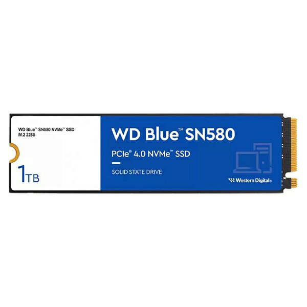 WD 内蔵SSD WDS100T3B0E