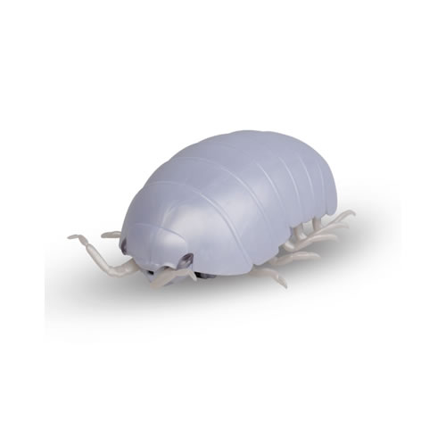 楽天市場】バンダイ バンダイ だんごむし03 フチゾリネッタイコシビロ