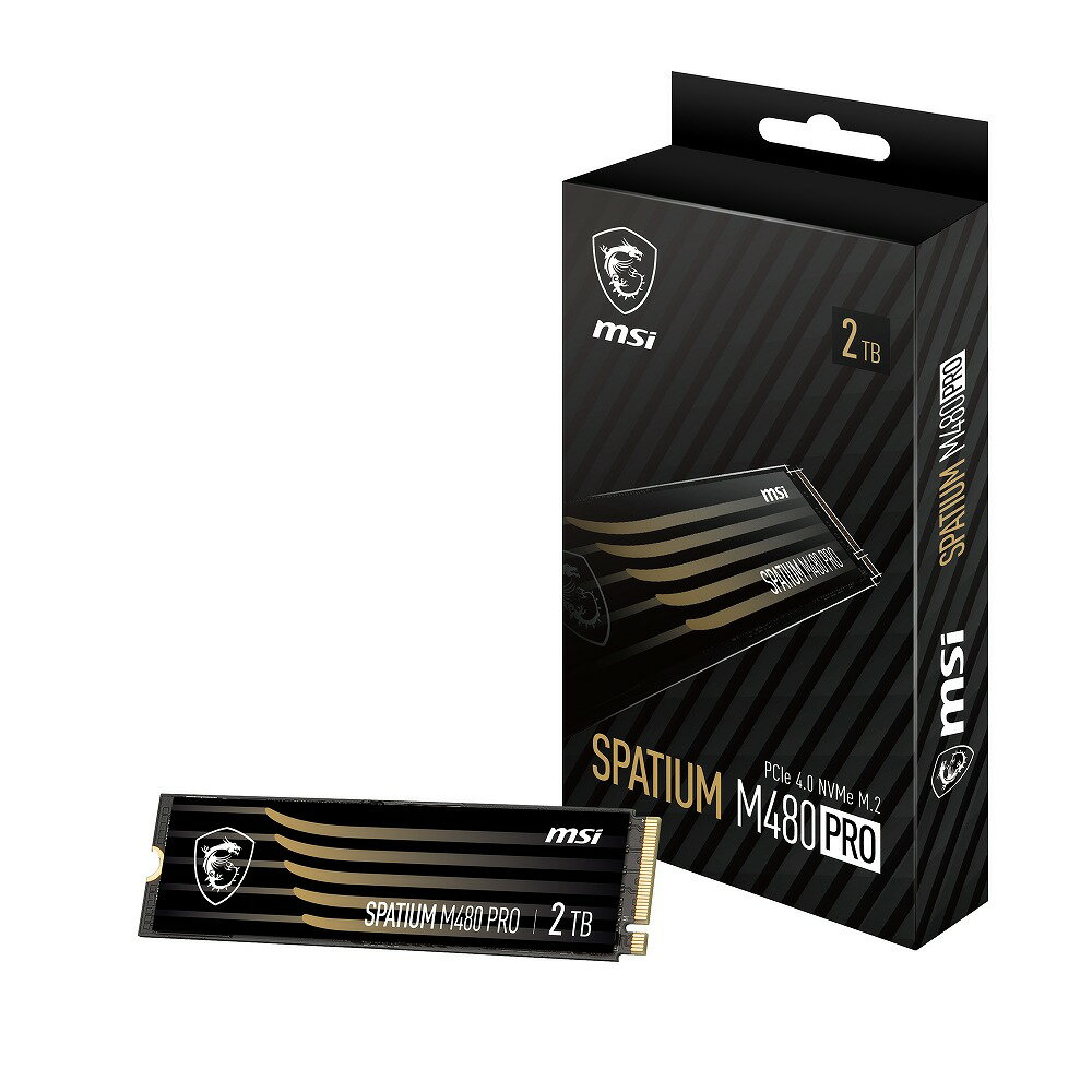MSI SSD SPATIUM M480 PRO S78-440Q600-P83