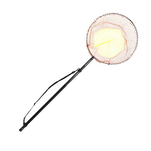 楽天市場】グローブライド ダイワ Daiwa ショアスパルタン