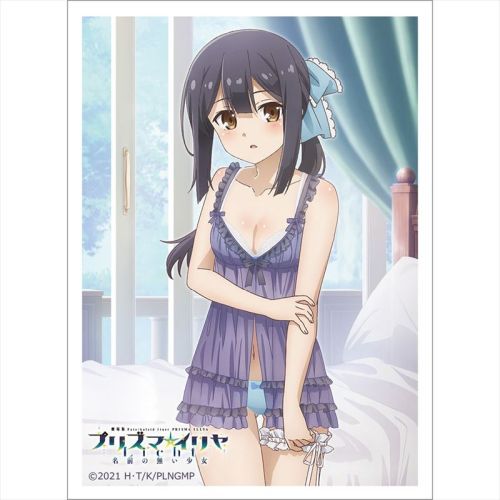クロックワークス スリーブコレクションvol.2 音楽少女 | koin