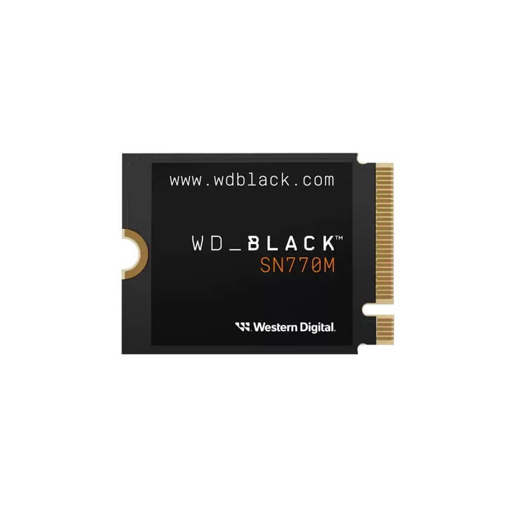 WD SSD WDS100T3X0G