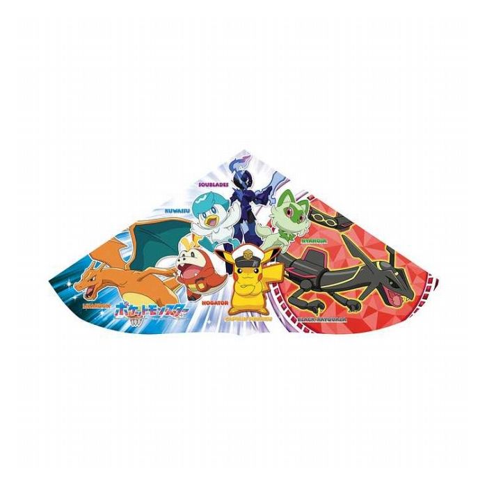 楽天市場】ポケモン ポケモンレースミニ | 価格比較 - 商品価格ナビ