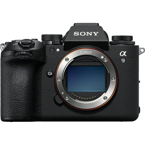 楽天市場】ソニーグループ SONY α7C II ミラーレス一眼カメラ ILCE