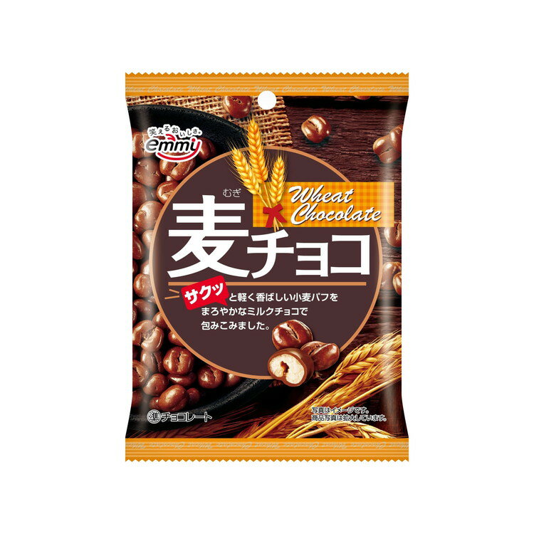 正栄デリシィ emmy なめらかチョコのクッキー 15枚 なめらかチョコのクッキー｜株式会社 正栄デリシィ