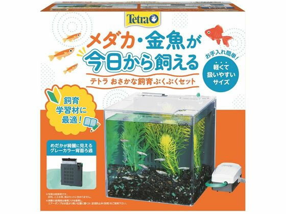 楽天市場】ジェックス GEX グラステリアサイレント900スリム | 価格