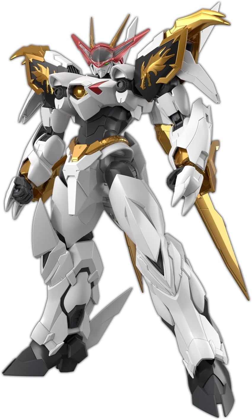 ＨＧ　Ａｍｐｌｉｆｉｅｄ　ＩＭＧＮ　龍王丸