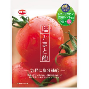 加藤製菓 塩とまと飴 58g