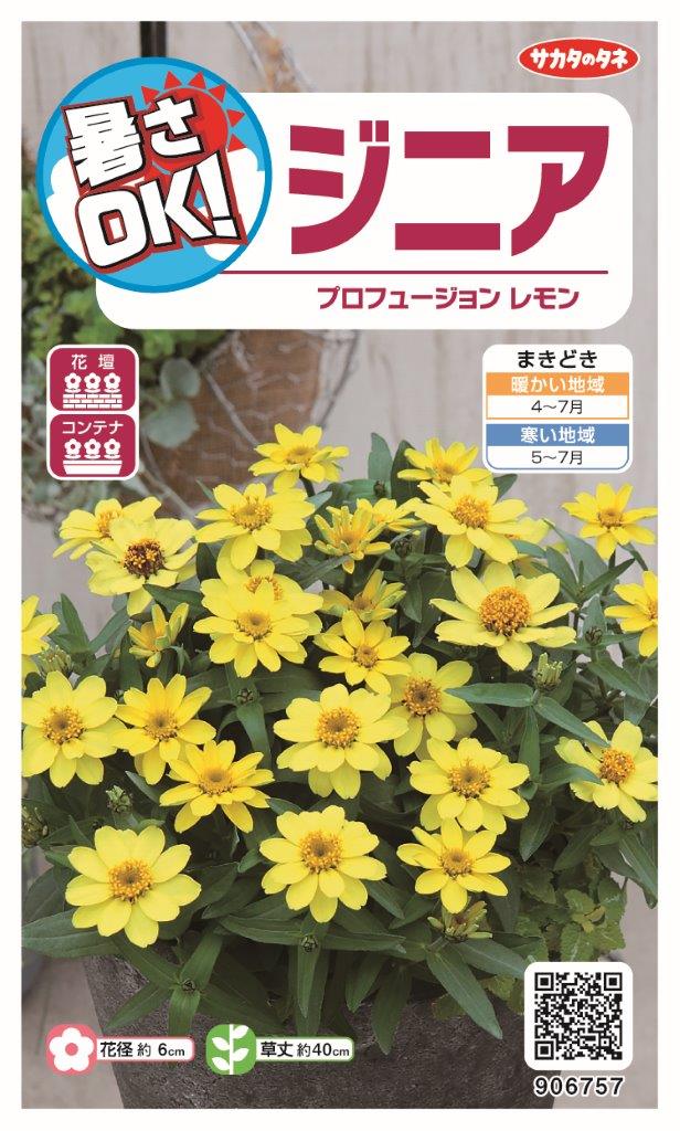 サカタのタネ｜SAKATA SEED CORPORATION 実咲 暑さOK ジニア プロフュージョン レモン 906757