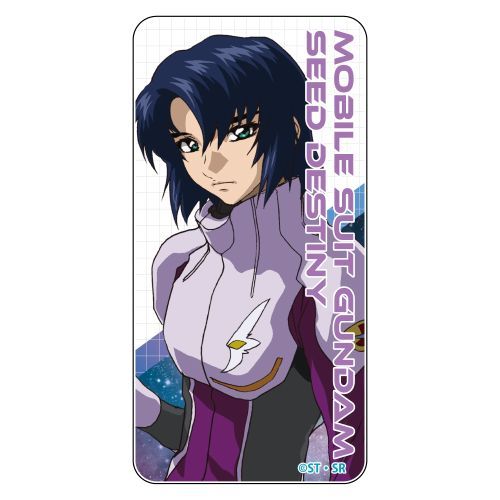 楽天市場】メガハウス GEM機動戦士ガンダムSEEDアスラン・ザラ