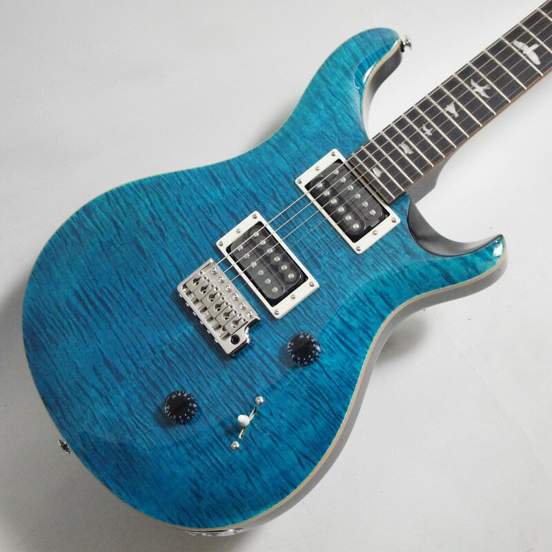 PRS SE Custom 24