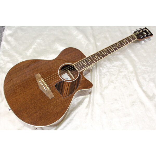 楽天市場】イー・エス・ピー ESP 星之助 THE ALFEE 坂崎幸之助