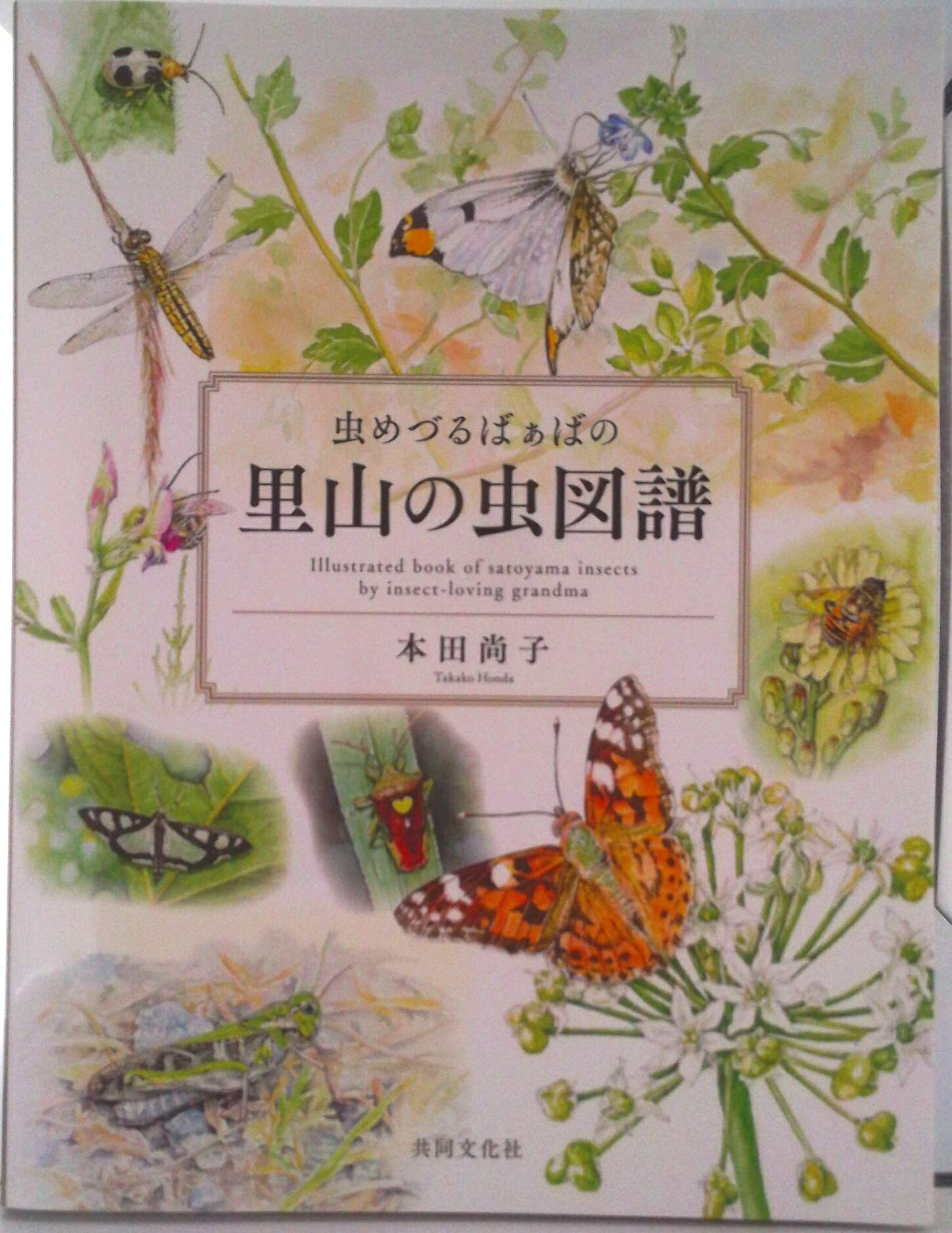 虫めづるばぁばの里山の虫図譜/共同文化社/本田尚子