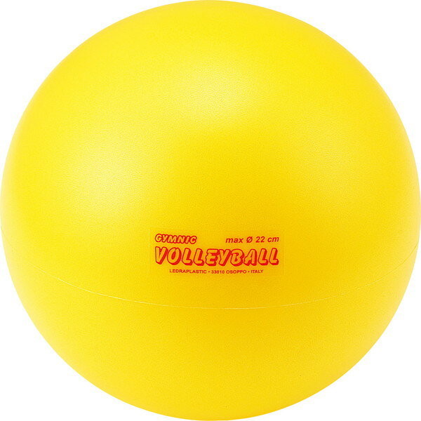 TOEI LIGHT(トーエイライト) ターゲットボール B-2215B g6bh9ry 楽天市場】トーエイライト TOEI LIGHT ターゲットボール B-2215B