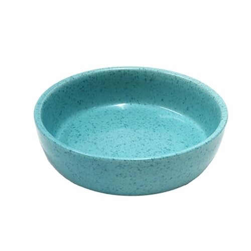 プラッツ PRD フロストボウル SS ターコイズ 1個