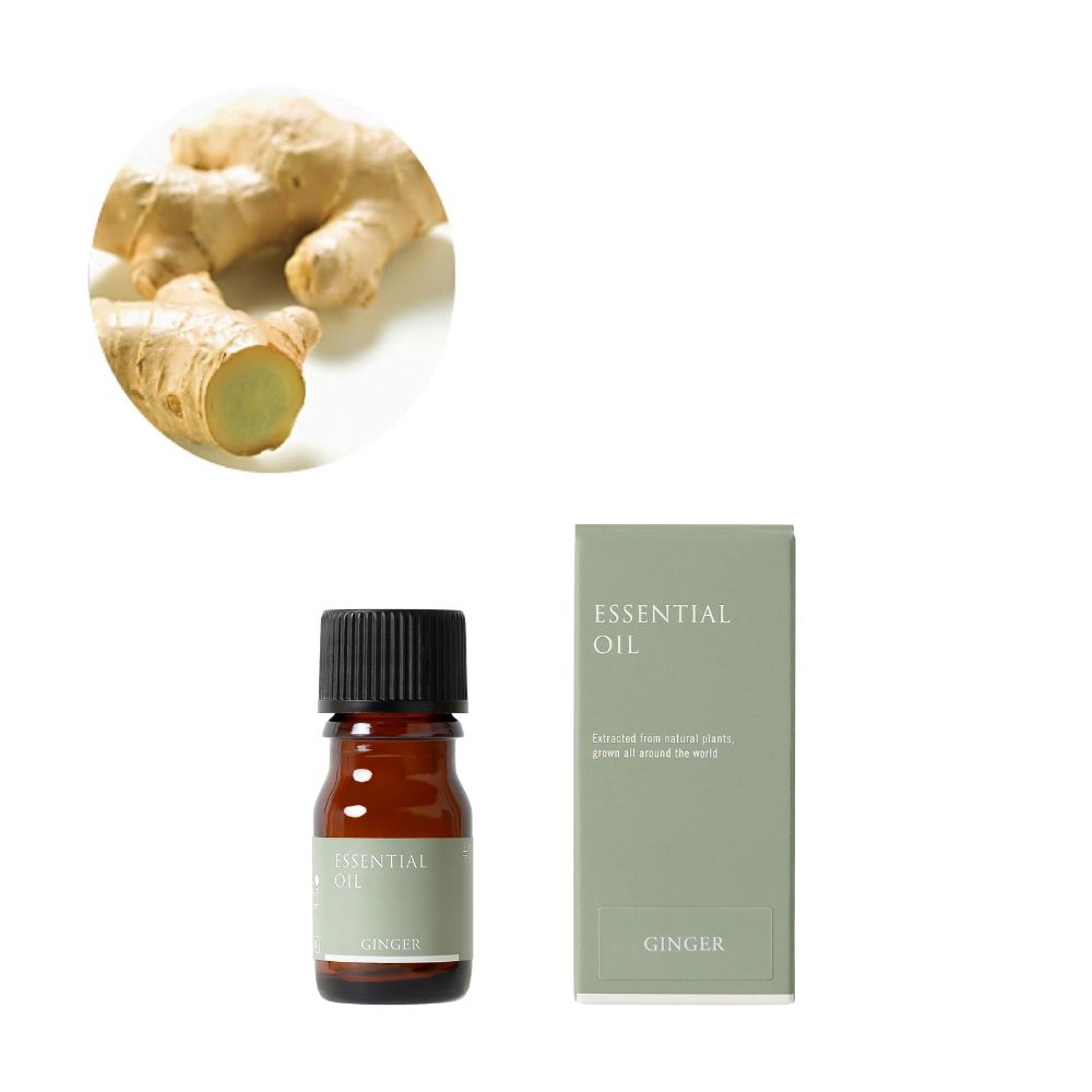 生活の木 ジンジャー精油 ginger エッセンシャルオイル