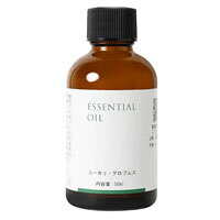 生活の木 ユーカリ グロブルス精油 eucalyptu globulu