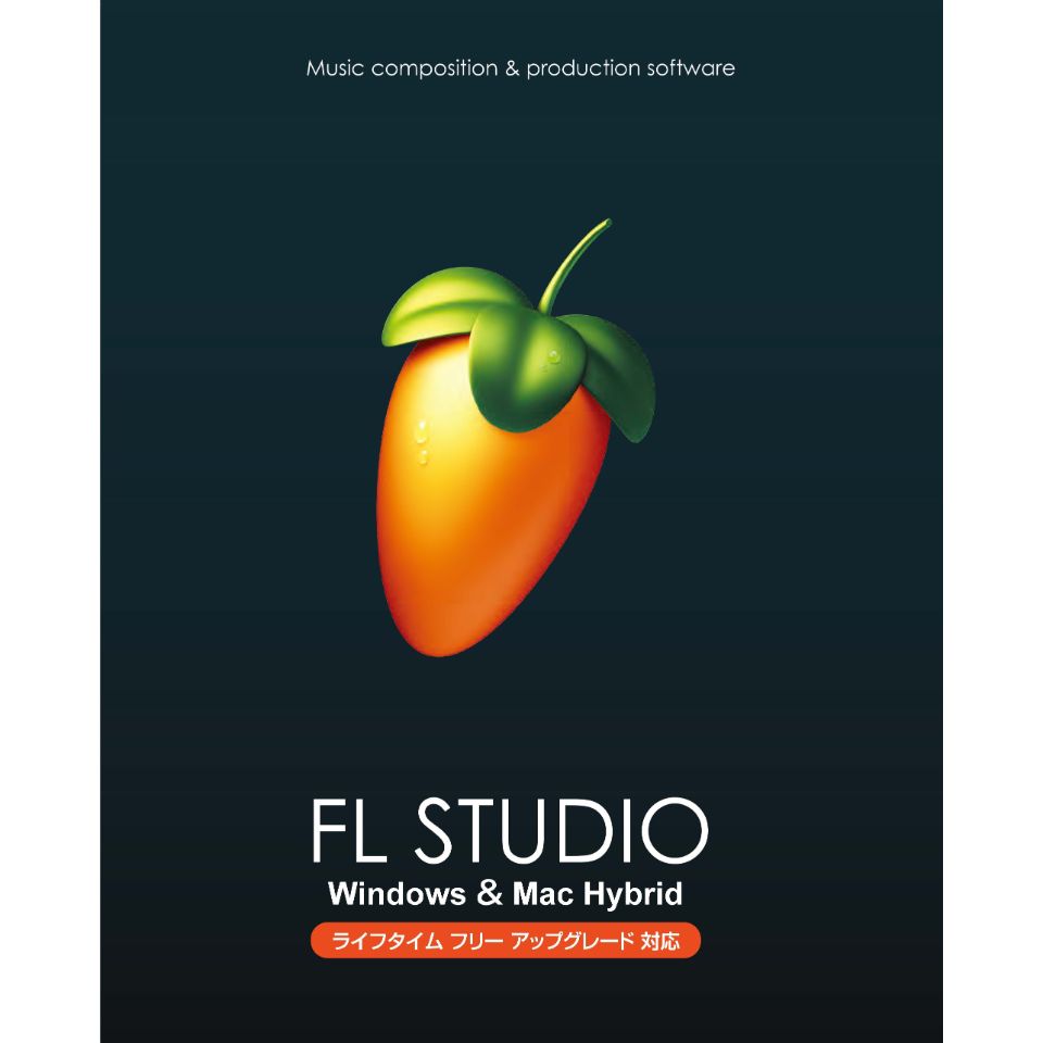 HOOK UP FL STUDIO SIGNATURE カイセツボンPDF