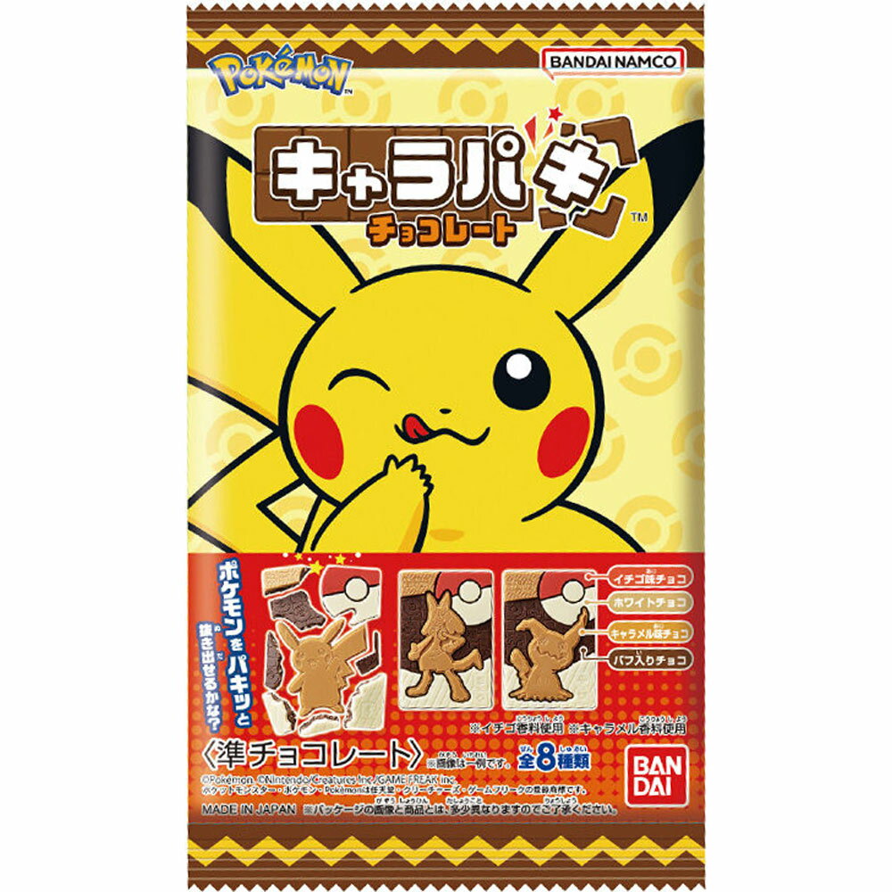 ポケットモンスター　キャラパキ