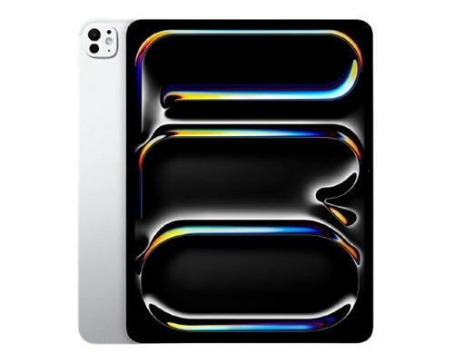 iPad Pro 13インチ 第1世代 (M4)