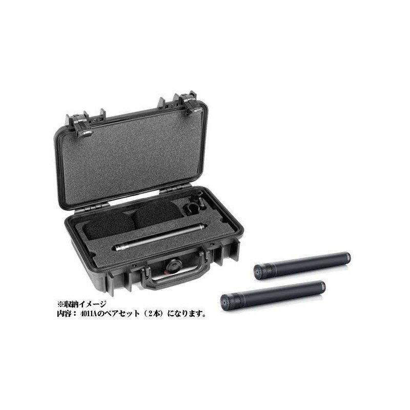 ST4011A ステレオ・キット 4011A×2 DPA