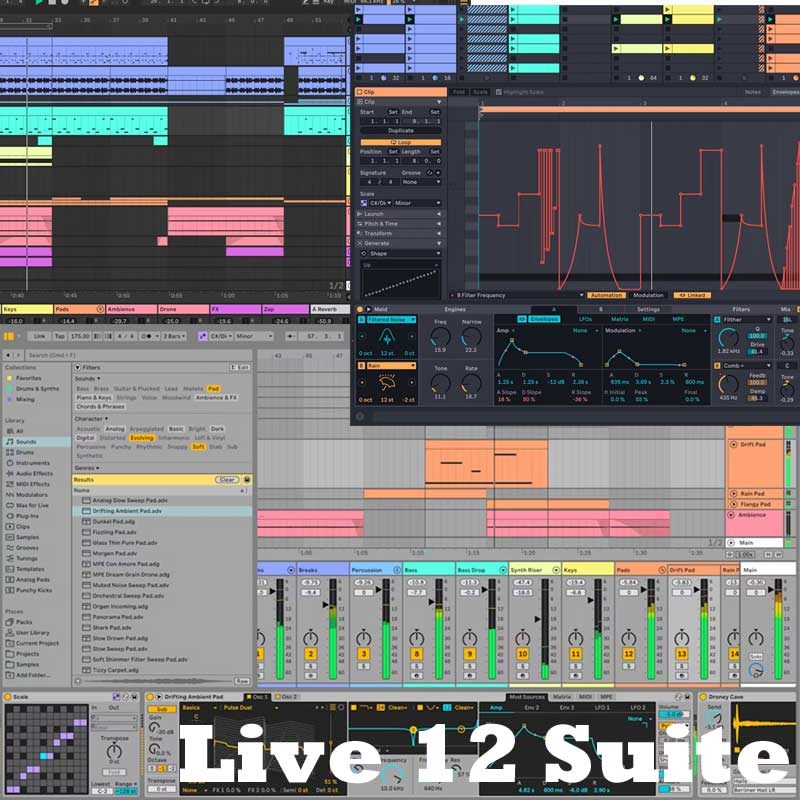 Live 12 Suite オンライン納品 ableton