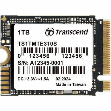 Transcend TS1TMTE310S
