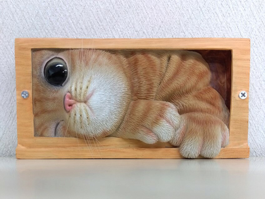 まつにゃん SNSで人気のにゃんこ「まつたけ」、“かまってちゃん”ぶりにファン急増