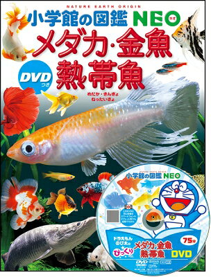 メダカ・金魚・熱帯魚 DVDつき