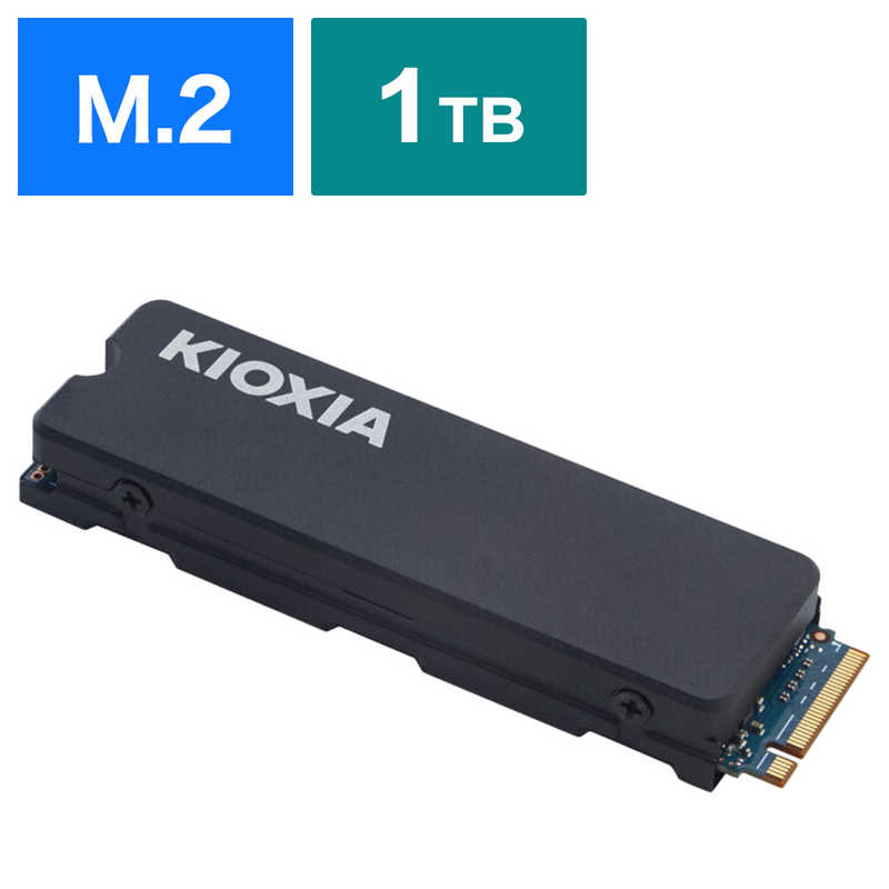 KIOXIA 1TB NVMe SSD SSD-CK1.0N3G2 M.2 Kioxia EXCERIA Plus G4 NVMe
