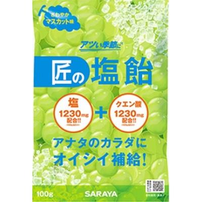 サラヤ 匠の塩飴 さわやかマスカット味 100g