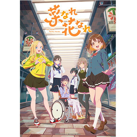 菜なれ花なれ　Blu-ray　第3巻/Ｂｌｕ−ｒａｙ　Ｄｉｓｃ/DMPXA-397