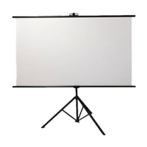 楽天市場】キクチ科学研究所 KIKUCHI 掛け図タイプスクリーン KHS