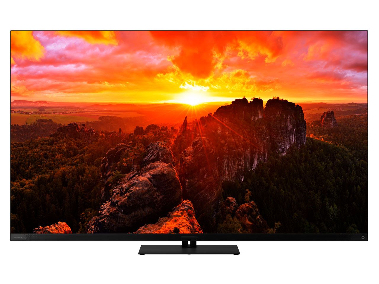 TVS REGZA 65X9900N