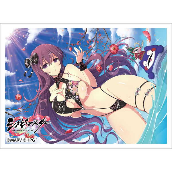 閃乱カグラ スリーブ セット 2 61X-Jou3tCL._UF350,350_QL50_.jpg